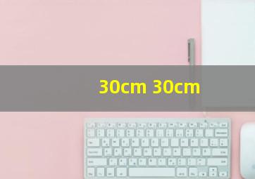 30cm 30cm